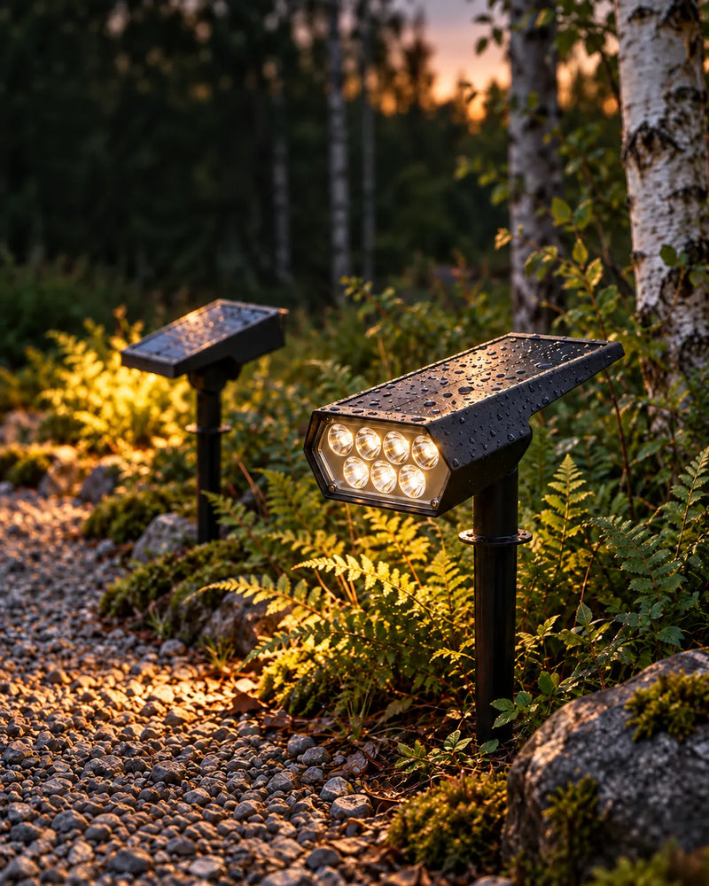 The gravel path at dusk